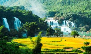 7 Taman Nasional Paling Instagramable di Vietnam